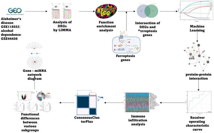 https://cdn.ncbi.nlm.nih.gov/pmc/blobs/aa5d/10373307/11eb998a15fd/fnagi-15-1201142-g001.jpg