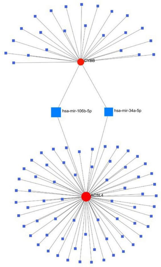 https://cdn.ncbi.nlm.nih.gov/pmc/blobs/aa5d/10373307/9efcdffa7294/fnagi-15-1201142-g009.jpg