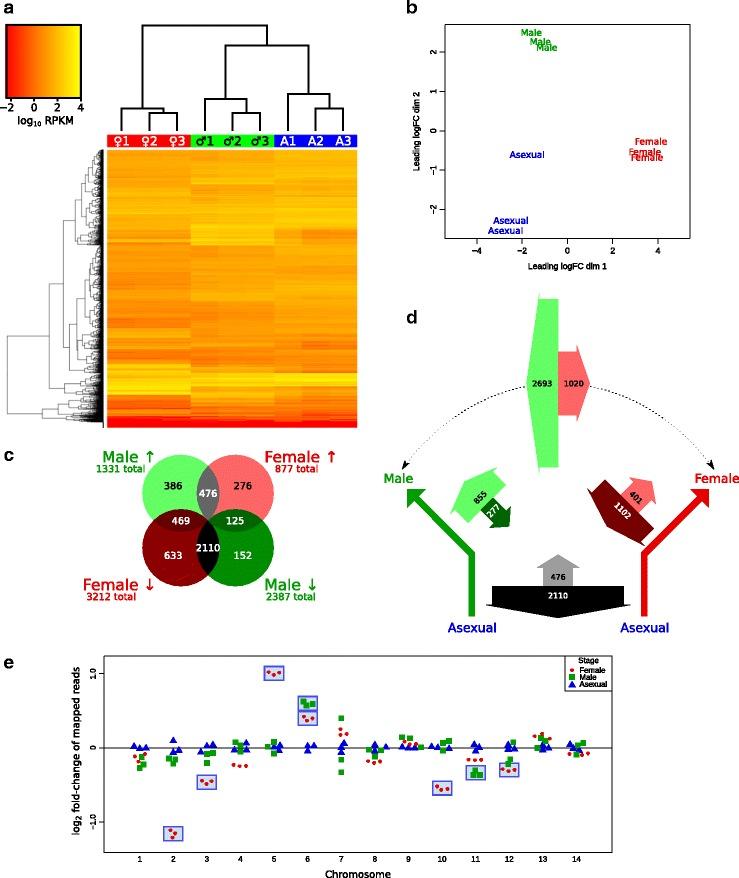 https://cdn.ncbi.nlm.nih.gov/pmc/blobs/aa5e/5604118/31df0cf1b0e3/12864_2017_4100_Fig2_HTML.jpg
