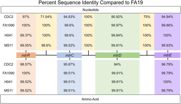 https://cdn.ncbi.nlm.nih.gov/pmc/blobs/aa5f/6282211/23c298a3928b/mbo0061841960001.jpg