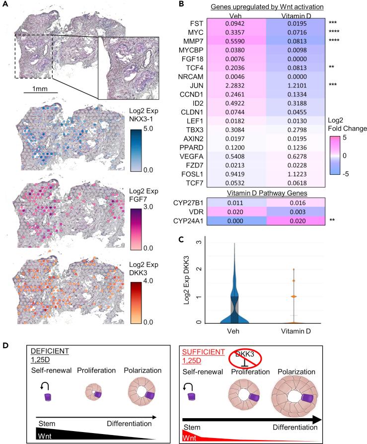 https://cdn.ncbi.nlm.nih.gov/pmc/blobs/aa5f/7797919/c3234f9e410e/gr6.jpg