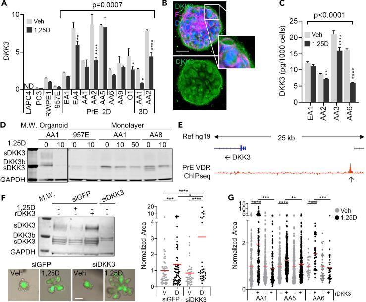 https://cdn.ncbi.nlm.nih.gov/pmc/blobs/aa5f/7797919/d2d61c153f88/gr4.jpg