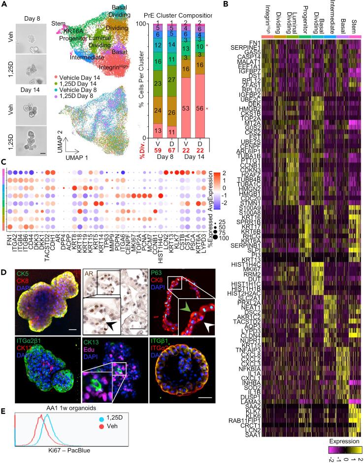 https://cdn.ncbi.nlm.nih.gov/pmc/blobs/aa5f/7797919/d7d1a2952d4e/gr2.jpg