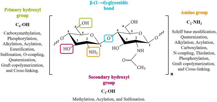 https://cdn.ncbi.nlm.nih.gov/pmc/blobs/aa60/10794439/4d0e4eb5b3aa/fchem-11-1327426-g003.jpg