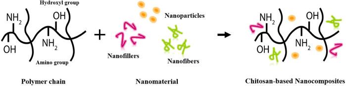 https://cdn.ncbi.nlm.nih.gov/pmc/blobs/aa60/10794439/b8a568b19d72/fchem-11-1327426-g004.jpg