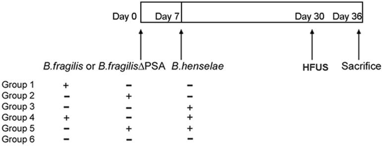 https://cdn.ncbi.nlm.nih.gov/pmc/blobs/aa60/5097911/83de9156df49/fmicb-07-01750-g001.jpg
