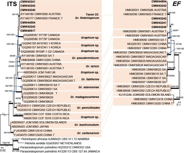 https://cdn.ncbi.nlm.nih.gov/pmc/blobs/aa60/6712535/2f3b0f00bccd/per-42-50-g026.jpg
