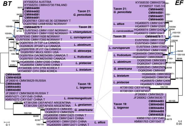 https://cdn.ncbi.nlm.nih.gov/pmc/blobs/aa60/6712535/39d5b6a40776/per-42-50-g011.jpg