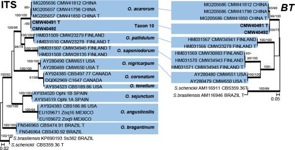 https://cdn.ncbi.nlm.nih.gov/pmc/blobs/aa60/6712535/64b13c05c902/per-42-50-g005.jpg