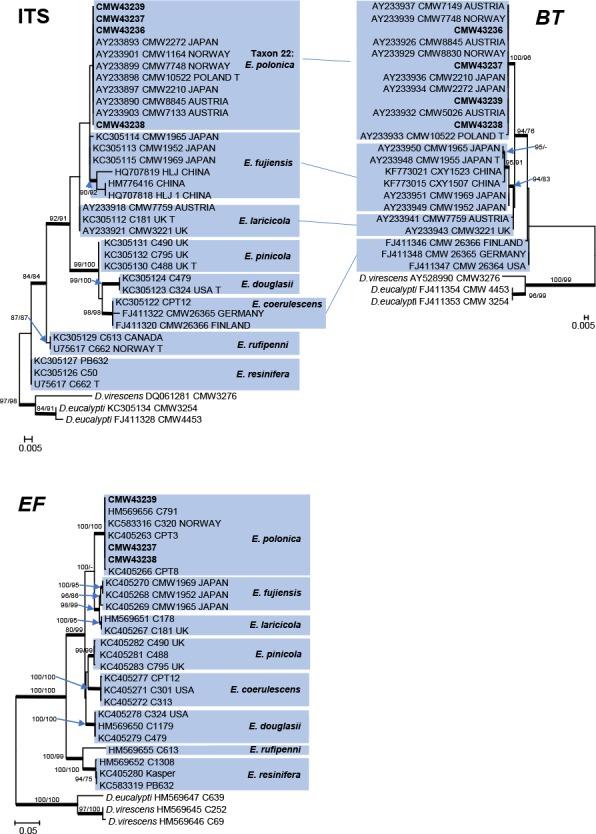 https://cdn.ncbi.nlm.nih.gov/pmc/blobs/aa60/6712535/8f66f5d3c1ba/per-42-50-g025.jpg