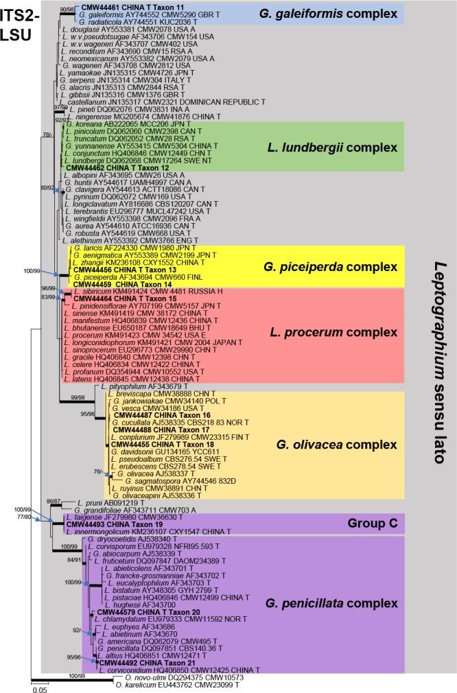 https://cdn.ncbi.nlm.nih.gov/pmc/blobs/aa60/6712535/c0f8255c40ab/per-42-50-g002.jpg
