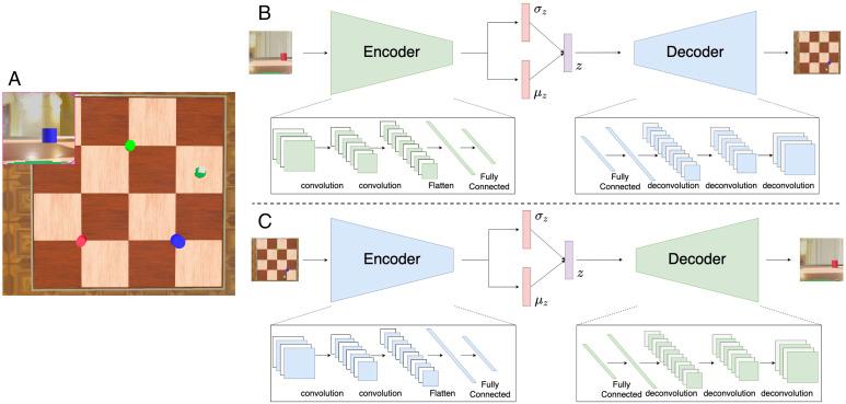 https://cdn.ncbi.nlm.nih.gov/pmc/blobs/aa61/9659407/dfa06d187d5e/pnas.2202024119fig01.jpg