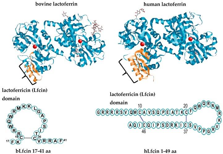 https://cdn.ncbi.nlm.nih.gov/pmc/blobs/aa62/6801499/bbec944d2de9/ijms-20-04707-g001.jpg