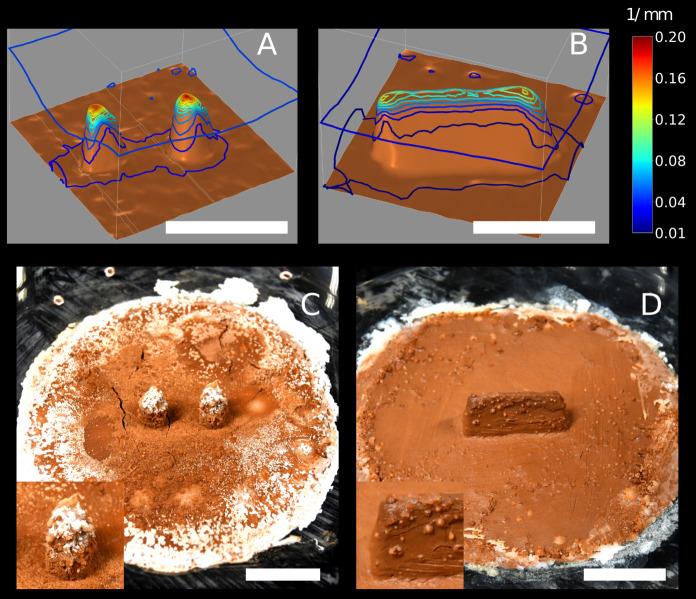 https://cdn.ncbi.nlm.nih.gov/pmc/blobs/aa65/11006414/894a1362ed60/elife-86843-fig4.jpg