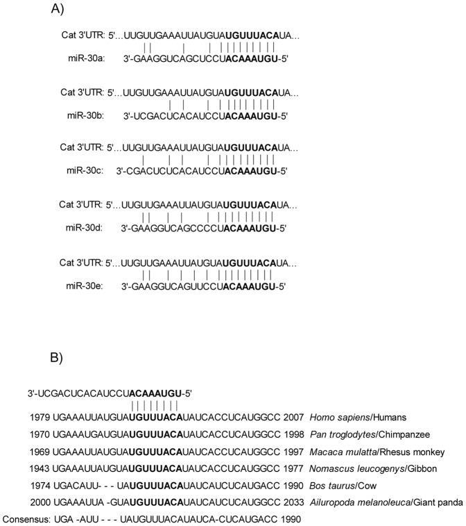 https://cdn.ncbi.nlm.nih.gov/pmc/blobs/aa65/3412823/8f060fbcfef3/pone.0042542.g001.jpg