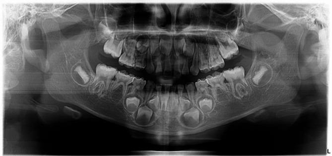 https://cdn.ncbi.nlm.nih.gov/pmc/blobs/aa69/11580490/ecdaa1204e4e/12903_2024_5160_Fig5_HTML.jpg