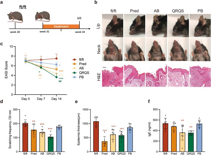 https://cdn.ncbi.nlm.nih.gov/pmc/blobs/aa6b/10877368/95022b4fc1d5/gr1.jpg
