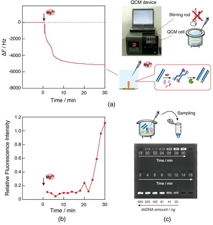 https://cdn.ncbi.nlm.nih.gov/pmc/blobs/aa6b/11048521/223f232ad274/biosensors-14-00155-g007.jpg