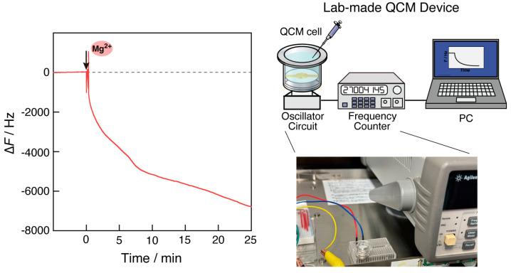 https://cdn.ncbi.nlm.nih.gov/pmc/blobs/aa6b/11048521/4f9f43099c78/biosensors-14-00155-g008.jpg
