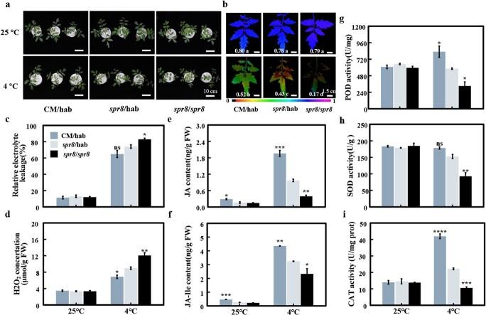 https://cdn.ncbi.nlm.nih.gov/pmc/blobs/aa6d/9832872/c951784b1602/uhac227f5.jpg