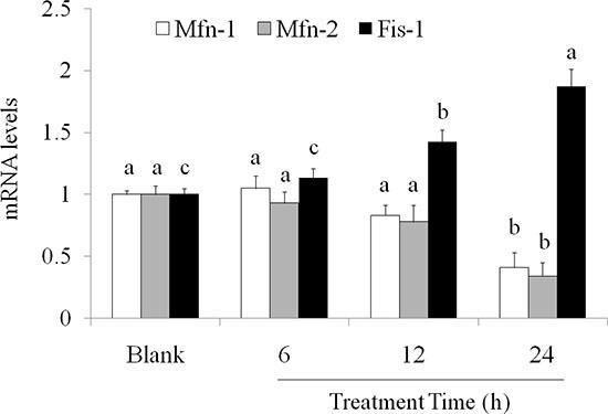 https://cdn.ncbi.nlm.nih.gov/pmc/blobs/aa6e/5356863/138dfb555ef2/oncotarget-08-3049-g004.jpg