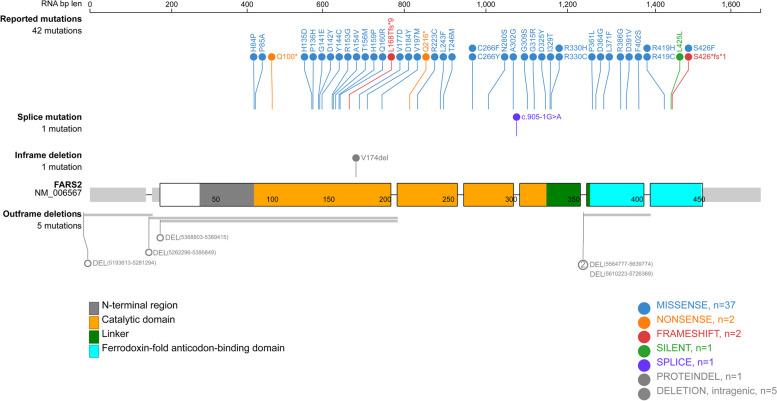 https://cdn.ncbi.nlm.nih.gov/pmc/blobs/aa70/10759640/5a19ccbbdb86/12883_2023_3480_Fig6_HTML.jpg