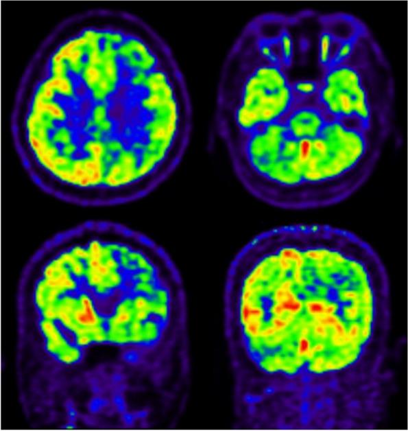 https://cdn.ncbi.nlm.nih.gov/pmc/blobs/aa70/10759640/80582d2c7d08/12883_2023_3480_Fig3_HTML.jpg
