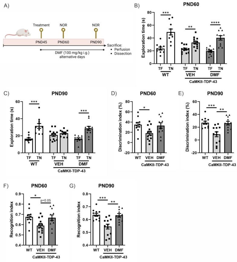 https://cdn.ncbi.nlm.nih.gov/pmc/blobs/aa70/11428793/e7599fbc864b/antioxidants-13-01072-g001.jpg