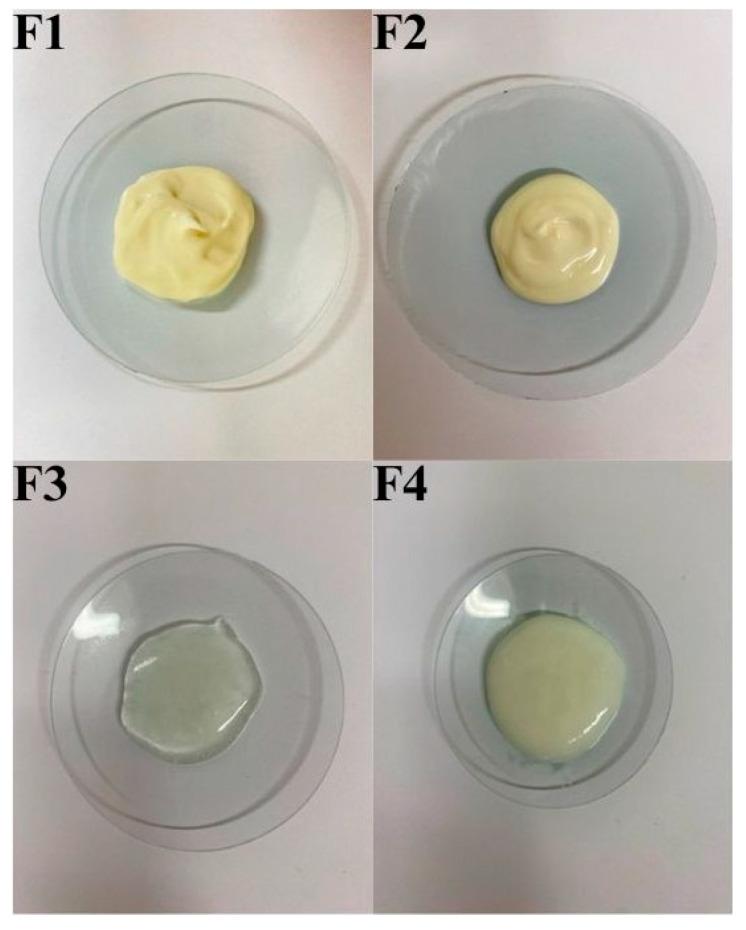 https://cdn.ncbi.nlm.nih.gov/pmc/blobs/aa70/12195876/017499bf0a82/pharmaceuticals-18-00810-g005.jpg