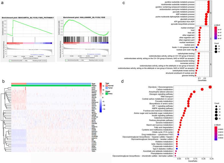https://cdn.ncbi.nlm.nih.gov/pmc/blobs/aa72/8258938/e08830475ba2/12935_2021_2045_Fig2_HTML.jpg