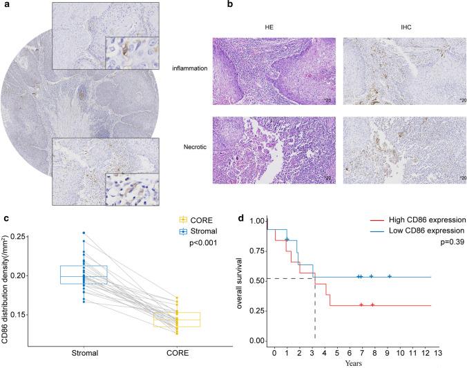 https://cdn.ncbi.nlm.nih.gov/pmc/blobs/aa72/8777578/8eb35c0e4939/12672_2021_442_Fig13_HTML.jpg