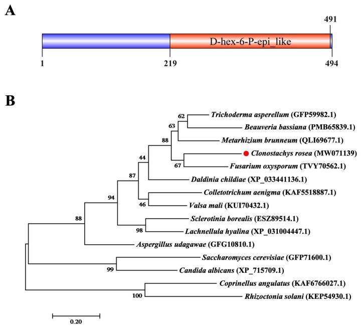 https://cdn.ncbi.nlm.nih.gov/pmc/blobs/aa73/10381721/8208db1feef2/jof-09-00764-g002.jpg