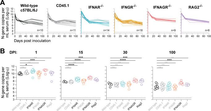 https://cdn.ncbi.nlm.nih.gov/pmc/blobs/aa73/12172470/cef36268ee8a/jvi.00248-25.f002.jpg