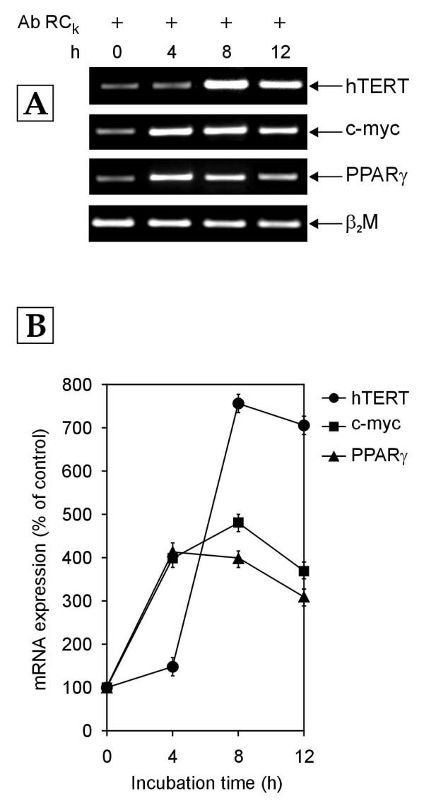 https://cdn.ncbi.nlm.nih.gov/pmc/blobs/aa73/1351175/05b4361754db/1471-2121-7-2-2.jpg