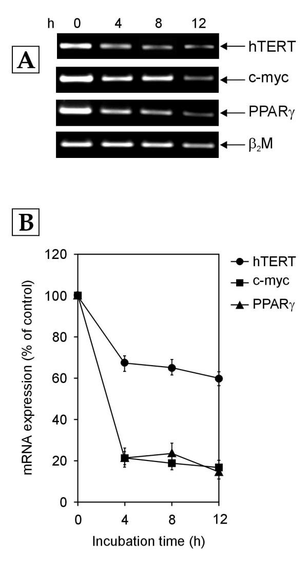 https://cdn.ncbi.nlm.nih.gov/pmc/blobs/aa73/1351175/b196006c1b48/1471-2121-7-2-1.jpg