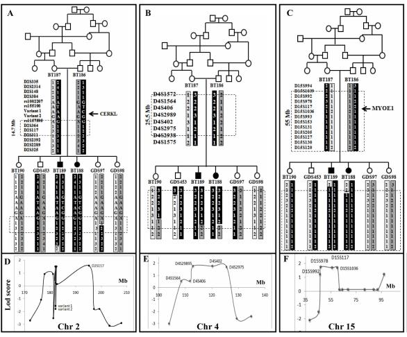 https://cdn.ncbi.nlm.nih.gov/pmc/blobs/aa73/2538493/688f90278969/mv-v14-1719-f1.jpg