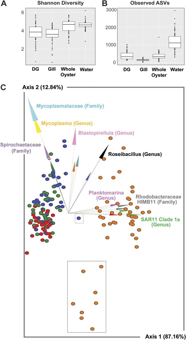 https://cdn.ncbi.nlm.nih.gov/pmc/blobs/aa77/10370324/5d3226349aa0/aem.00318-23-f003.jpg