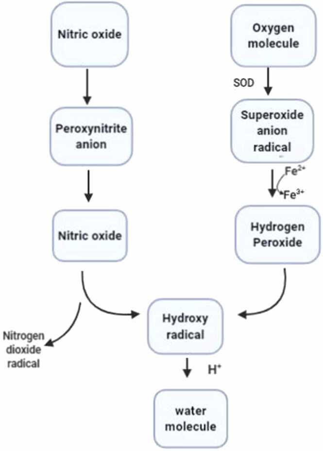 https://cdn.ncbi.nlm.nih.gov/pmc/blobs/aa77/11240301/313b5f688086/gr1.jpg