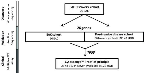 https://cdn.ncbi.nlm.nih.gov/pmc/blobs/aa77/4116294/7e5b6788b44e/emss-58861-f0001.jpg