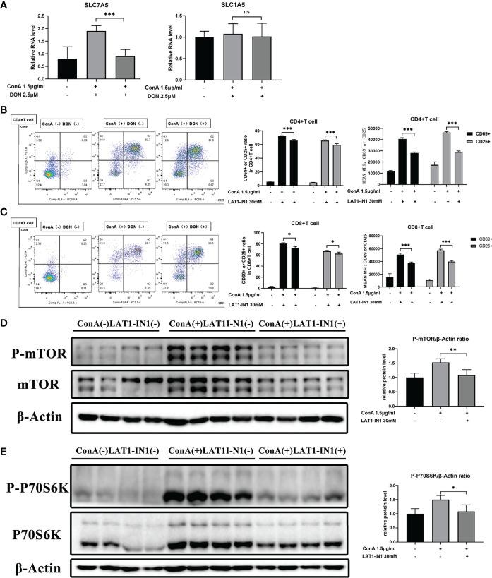 https://cdn.ncbi.nlm.nih.gov/pmc/blobs/aa78/9160195/8140251ff3e9/fimmu-13-880262-g007.jpg