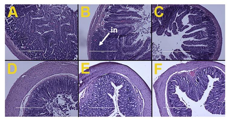 https://cdn.ncbi.nlm.nih.gov/pmc/blobs/aa7a/5707733/8027995f171f/nutrients-09-01261-g002.jpg