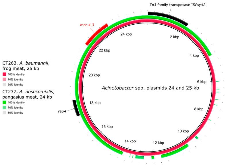 https://cdn.ncbi.nlm.nih.gov/pmc/blobs/aa7c/8300808/2a196a0a076f/antibiotics-10-00838-g008.jpg