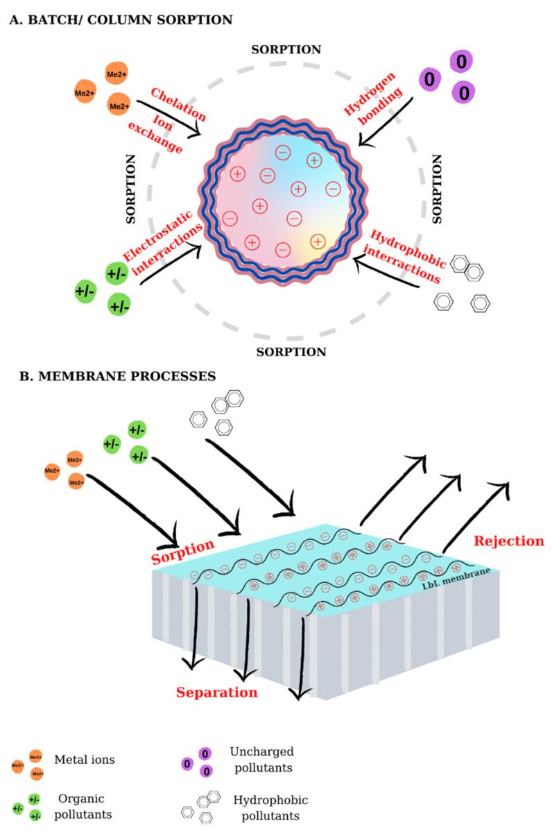 https://cdn.ncbi.nlm.nih.gov/pmc/blobs/aa7e/8348132/ff3ebc6274b3/materials-14-04152-g008.jpg