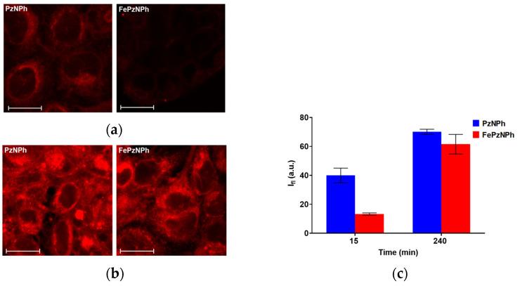 https://cdn.ncbi.nlm.nih.gov/pmc/blobs/aa7f/9786040/7bc02ad98028/pharmaceutics-14-02655-g004.jpg