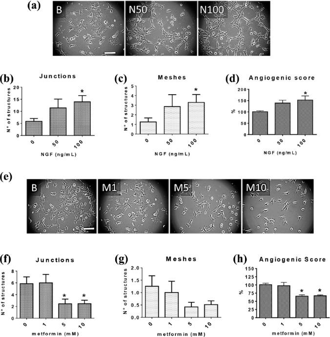 https://cdn.ncbi.nlm.nih.gov/pmc/blobs/aa80/5949935/e098a6fa12ca/10.1177_1758835918770984-fig5.jpg