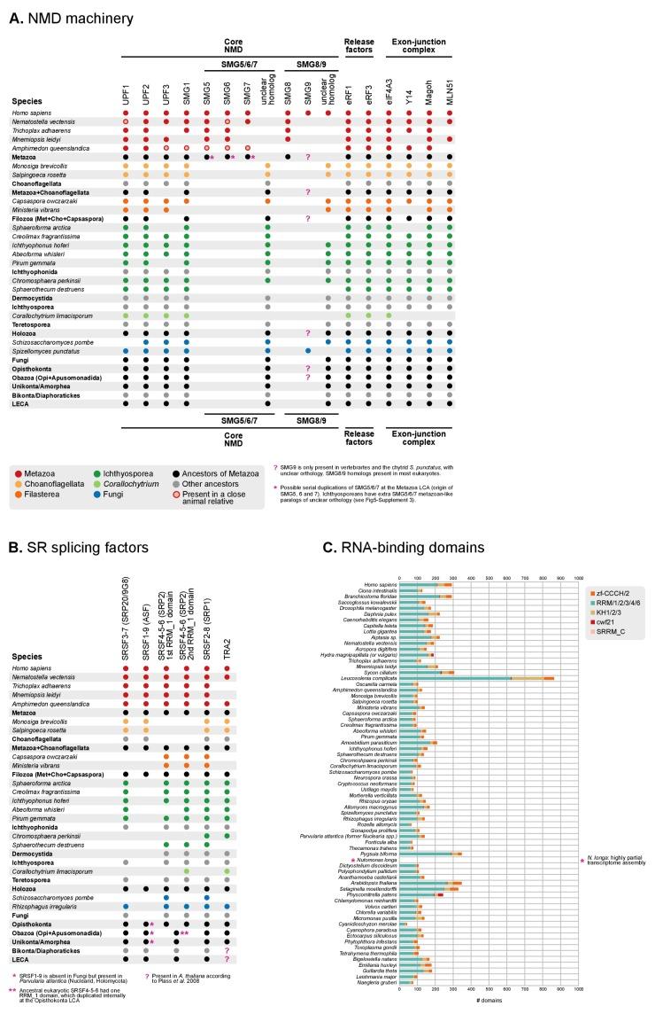 https://cdn.ncbi.nlm.nih.gov/pmc/blobs/aa82/5560861/4d1daf437479/elife-26036-fig5-figsupp2.jpg