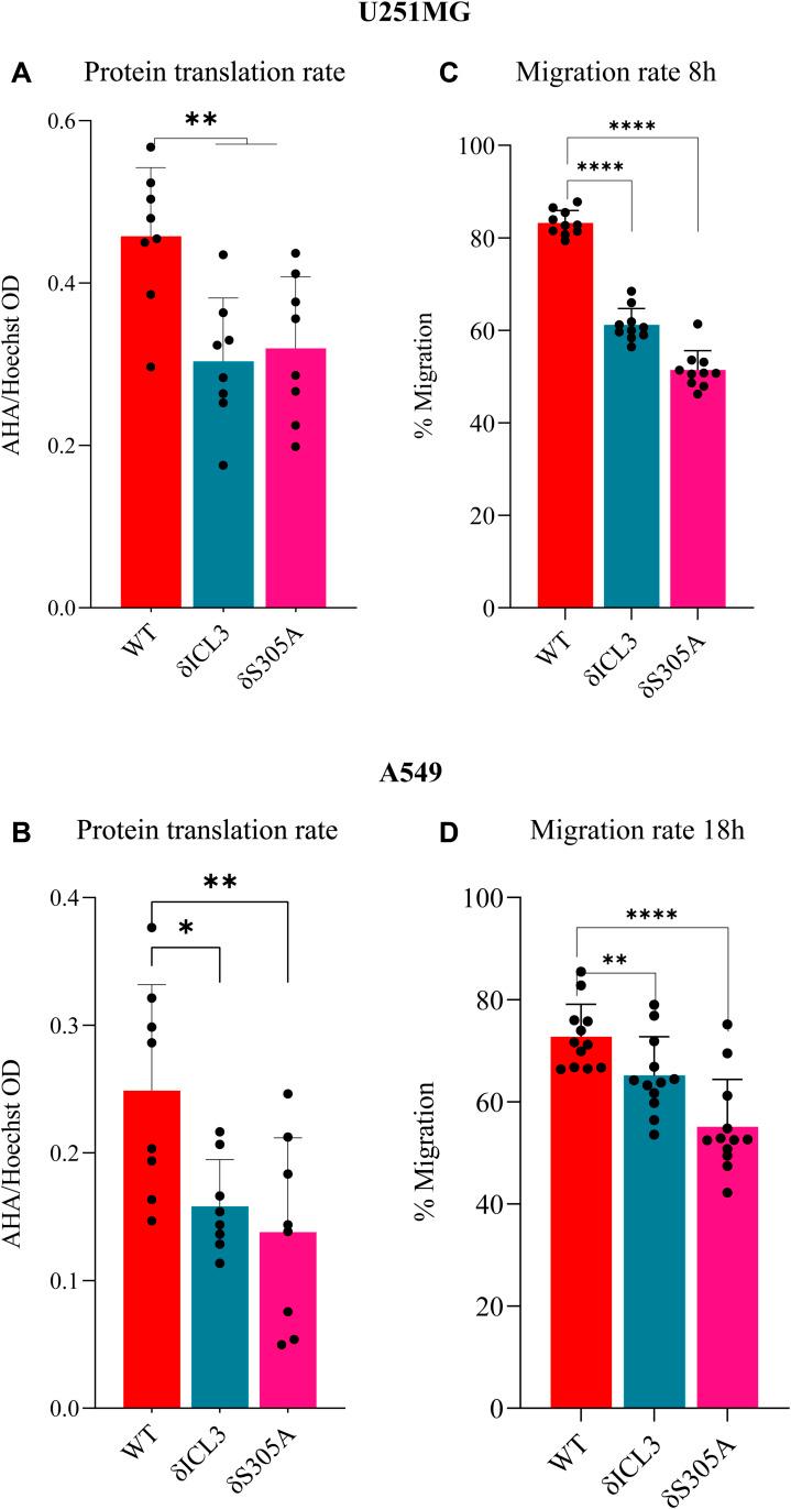 https://cdn.ncbi.nlm.nih.gov/pmc/blobs/aa87/11794946/6a344b4bac76/LSA-2025-03226_FigS8.jpg