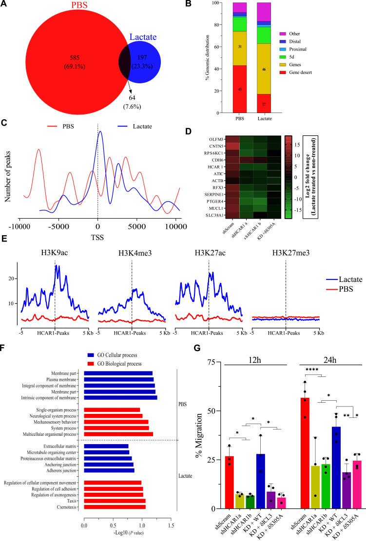 https://cdn.ncbi.nlm.nih.gov/pmc/blobs/aa87/11794946/b70611709404/LSA-2025-03226_Fig5.jpg