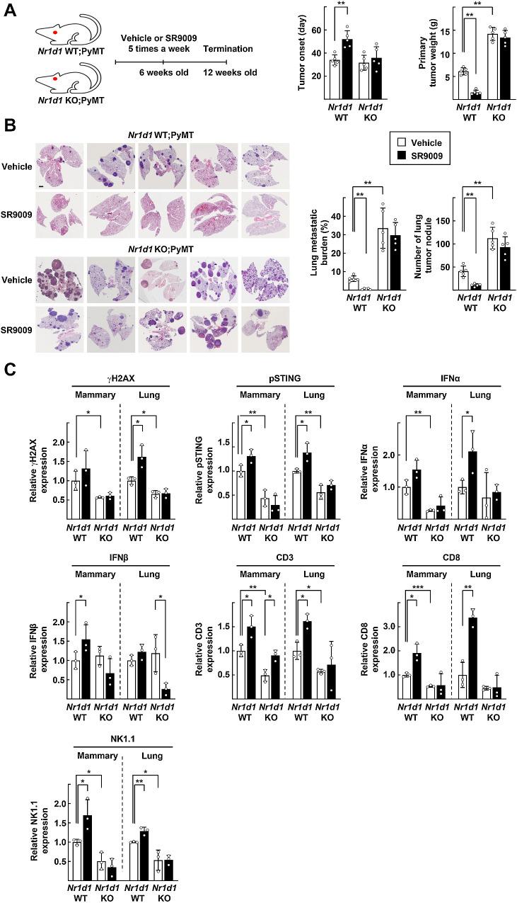 https://cdn.ncbi.nlm.nih.gov/pmc/blobs/aa89/10538367/00ba7fcf3f09/3045fig7.jpg