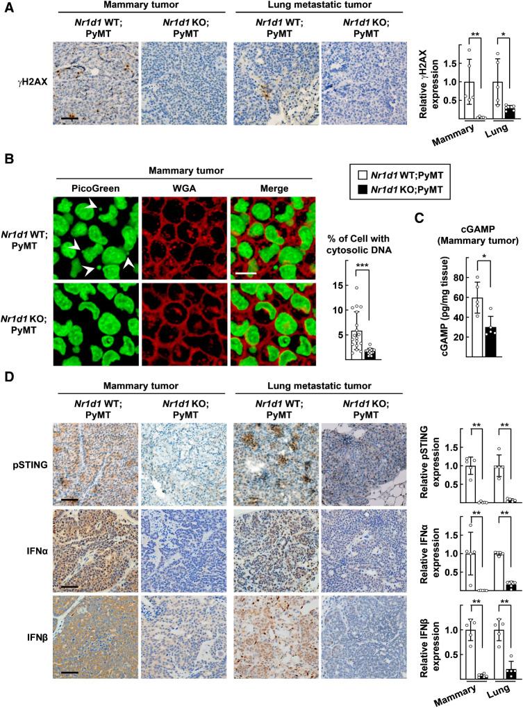 https://cdn.ncbi.nlm.nih.gov/pmc/blobs/aa89/10538367/2826f1571b11/3045fig4.jpg